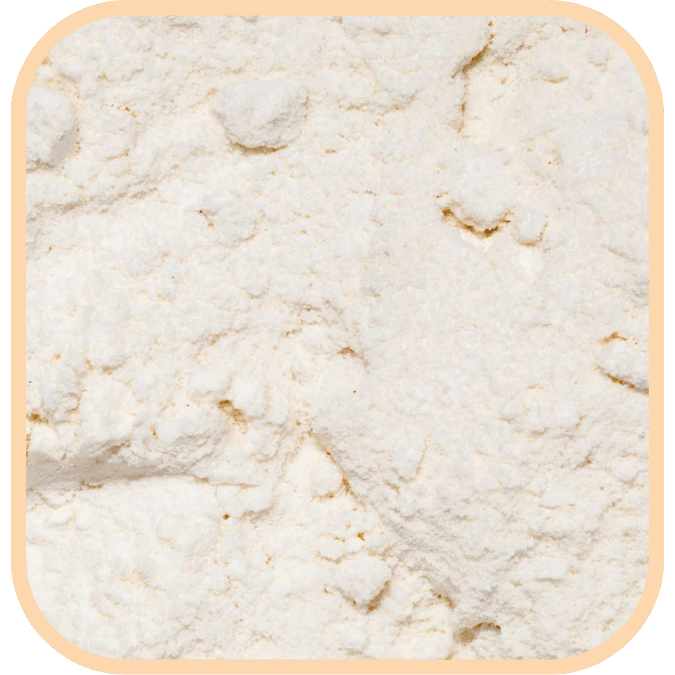 Coconut Flour Organic